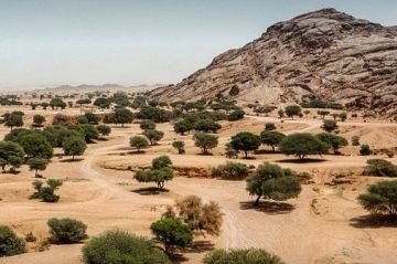 الفرق الفنية للبرنامج الوطني للتشجير تواصل جهودها الميدانية لإعادة تأهيل الأراضي