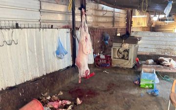 حملة رقابية تكشف 122 مخالفة في أسواق ومسالخ بالرياض