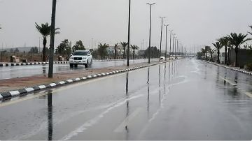 الأرصاد: استمرار هطول الأمطار حتى نهاية الأسبوع المقبل .. فيديو
