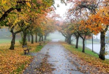 الحصيني يحدد مواعيد الفصول والمواسم: الخريف يبدأ 23 سبتمبر والوسم في 16 أكتوبر الحصيني يحدد مواعيد الفصول والمواسم: الخريف يبدأ 23 سبتمبر والوسم في 16 أكتوبر