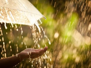 طقس نهاية الأسبوع .. الأرصاد: هطول أمطار رعدية متوسطة إلى غزيرة على هذه المناطق طقس نهاية الأسبوع .. الأرصاد: هطول أمطار رعدية متوسطة إلى غزيرة على هذه المناطق