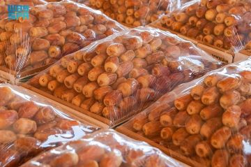 مشاهد من موسم تمور البدائع .. جودة في المنتج وكميات تنعش الحركة الاقتصادية
