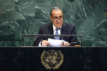 وزير الخارجية المصري: مصر لن تكون أبدا بوابة لتهجير الشعب الفلسطيني