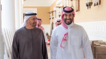 ولي العهد يبحث مع رئيس الإمارات تطورات الأوضاع في المنطقة.. صور