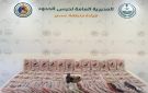 إحباط تهريب (88) كيلوجراما من مادة الحشيش المخدر في عسير - sa
