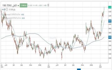 سهم البنك الأهلي يواصل الصعود ويخترق مستويات مهمة سهم البنك الأهلي يواصل الصعود ويخترق مستويات مهمة