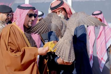أمير القصيم يرعى حفل مهرجان القصيم للصقور بمشاركة (675) صقارا من مختلف دول الوطن العربي