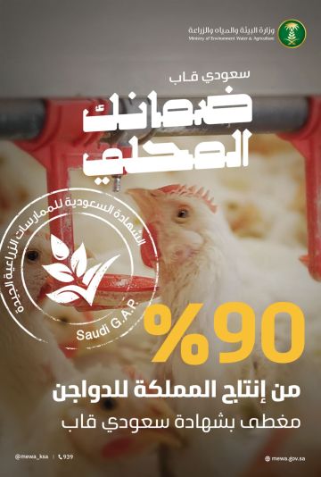 البيئة: ارتفاع نسبة تغطية سعودي قاب لإنتاج الدواجن إلى 90 