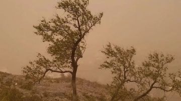 تصل سرعتها إلى ( 49) كلم ساعة..الأرصاد رياح نشطة على الشرقية