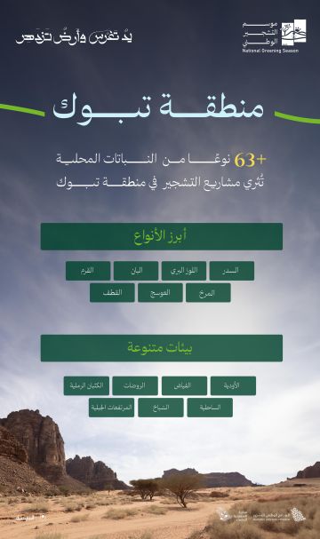 63 نوعا من النباتات المحلية تدعم مشاريع التشجير في تبوك 63 نوعا من النباتات المحلية تدعم مشاريع التشجير في تبوك