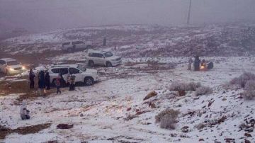 سجن وغرامة.. حرس الحدود يحذر الباحثين عن الفقع من دخول المناطق الحدودية المحظورة