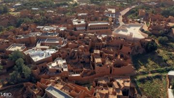 مصور يوثق مواجهة نادرة بين الطيور الجارحة في سماء السعودية