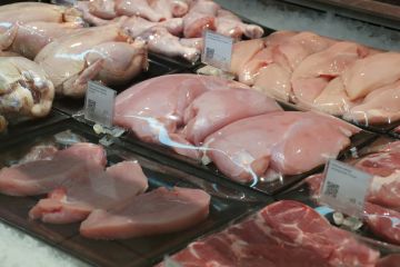 نمو صادرات روسيا من لحوم الدواجن للسعودية بنسبة 59 في 2025