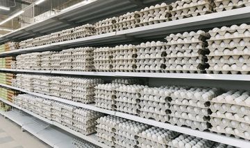  البيئة : 82 من إنتاج السعودية لبيض المائدة معتمد