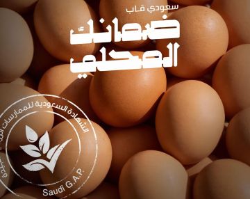 82 من إنتاج المملكة لبيض المائدة معتمد بشهادة سعودي قاب 82 من إنتاج المملكة لبيض المائدة معتمد بشهادة سعودي قاب