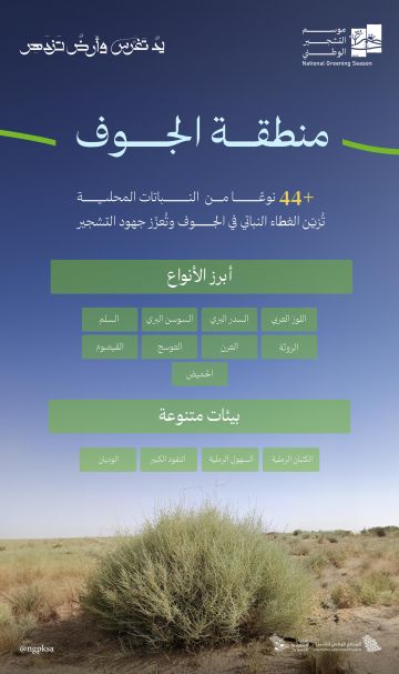 اللوز والسدر والعرن والسوسن أبرز النباتات المحلية الملائمة للتشجير في الجوف