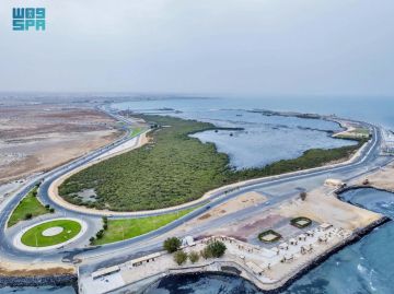 جزيرة المرجان بجازان.. أيقونة سياحية تجمع بين صفاء المياه وروعة الحياة البحرية