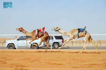 ملاك الهجن السعودية يحصدون 65 من جوائز افتتاحية مهرجان خادم الحرمين للهجن 2026 ملاك الهجن السعودية يحصدون 65 من جوائز افتتاحية مهرجان خادم الحرمين للهجن 2026