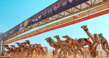 في نسخته الثالثة.. وبجوائز 75 مليون ريال.. انطلاق مهرجان خادم الحرمين الشريفين للهجن بالرياض 23 يناير