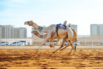 غدا.. تتويج أبطال كؤوس مهرجان خادم الحرمين الشريفين لفئةالجذاع 