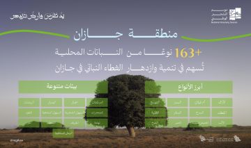 165 نوعا من النباتات المحلية تعزز جهود التشجير في جازان