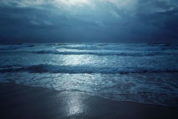 حمد المنتشري يصدم جماهير النصر بسبب الدوري