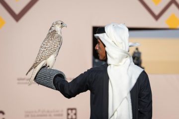 تتويج 8 هواة محليين بـ 12 كأسا بمهرجان الملك عبدالعزيز للصقور 2025 تتويج 8 هواة محليين بـ 12 كأسا بمهرجان الملك عبدالعزيز للصقور 2025