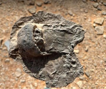 ارتفاع حصيلة ضحايا غرق قارب مهاجرين قبالة سواحل جامبيا إلى 39 قتيلا ارتفاع حصيلة ضحايا غرق قارب مهاجرين قبالة سواحل جامبيا إلى 39 قتيلا