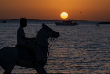 الأرض تصل إلى أقرب نقطة من الشمس