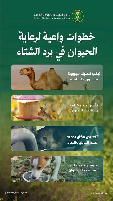 البيئة تطلق حملة لحماية الحيوانات في الشتاء وتدعو لسلوكيات الرفق والرعاية