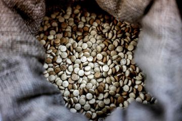 داخلية السعودية تكشف عن مساهمتها بضبط معمل لتصنيع مخدرات في لبنان