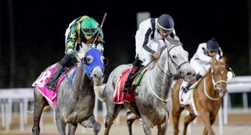 يحتضنه ميدان الملك عبد العزيز للفروسية بالرياض.. 14 من نخبة الفرسان يتنافسون في تحدي الخيالة العالمي 2026