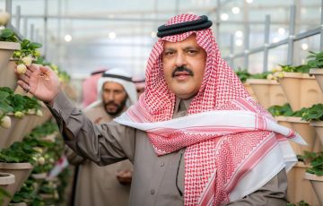 أمير حائل يدشن أول إنتاج للفراولة البيضاء في المملكة