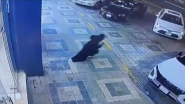 بطلة سعودية تكافأ بسيارة موديل 2026 بعد إنقاذها أطفالا من حادث خطير في جازان (فيديوهات)