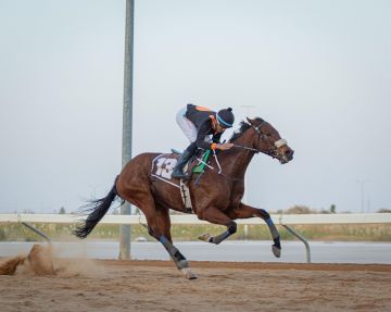 ميدان الملك سعود للفروسية بالقصيم يقيم حفل سباقه العاشر ميدان الملك سعود للفروسية بالقصيم يقيم حفل سباقه العاشر