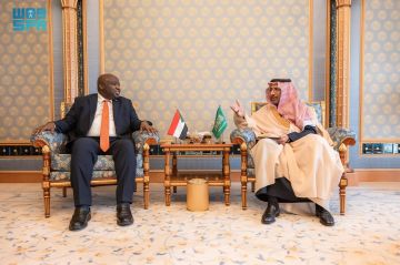 وزير الصناعة يبحث توسيع الشراكات التعدينية مع السودان وموريتانيا والأرجنتين