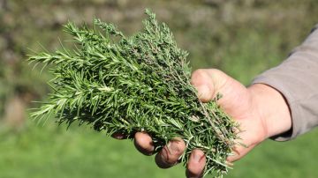 المتأهلين لثمن نهائي دوري أبطال أوروبا.. و16 فريق في الملحق المثير المتأهلين لثمن نهائي دوري أبطال أوروبا.. و16 فريق في الملحق المثير