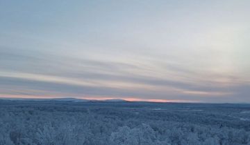 صورة سعيدة جمعتها بقاتلها.. الحمض النووي يحل لغز وحش تكساس صورة سعيدة جمعتها بقاتلها.. الحمض النووي يحل لغز وحش تكساس