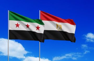 مصر وسوريا توقعان مذكرتي تفاهم لتوريد الغاز والمنتجات البترولية