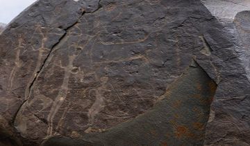 بالأسماء.. تأكد غياب 5 لاعبين عن النصر قبل مواجهة الشباب 