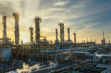 لتمكين الاستثمار.. معالجة 935 طلب فسح كيميائي خلال شهر