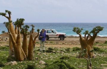 وزير يمني يؤكد إجلاء جميع العالقين الأجانب من سقطرى بتسهيلات سعودية