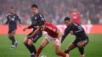 صدمة القرعة.. ريال مدريد يواجه بنفيكا بقيادة مورينيو في أبطال أوروبا صدمة القرعة.. ريال مدريد يواجه بنفيكا بقيادة مورينيو في أبطال أوروبا