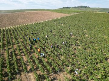 فرنسا ترفض تهديدات ترامب بفرض رسوم باهظة على بعض صادراتها