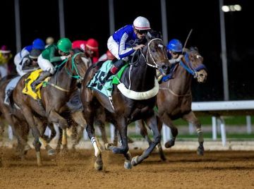 نادي سباقات الخيل يعلن التحقق بشأن نتيجة الشوط الثامن في الحفل (62) المؤهل لكأس السعودية