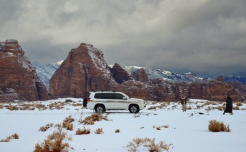 مقرقع البيبان يدفع وزارة الأمهات للتحرك: الخميس غياب مقرقع البيبان يدفع وزارة الأمهات للتحرك: الخميس غياب