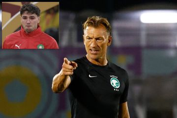 رينارد يشن هجوما لاذعا ضد براهيم دياز رينارد يشن هجوما لاذعا ضد براهيم دياز