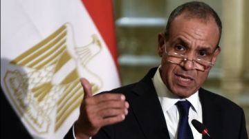 وزير خارجية مصر يؤكد ثوابت بلاده تجاه الأزمة في السودان