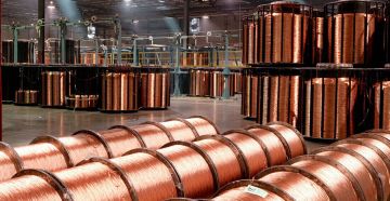 بيان رسمي من معهد نوبل بشأن تنازل ماتشادو عن ميداليتها للرئيس الأمريكي