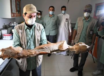 رئيس وزراء اليمن يعلن دعما سعوديا عاجلا بـ90 مليون دولار لصرف مرتبات موظفي الدولة